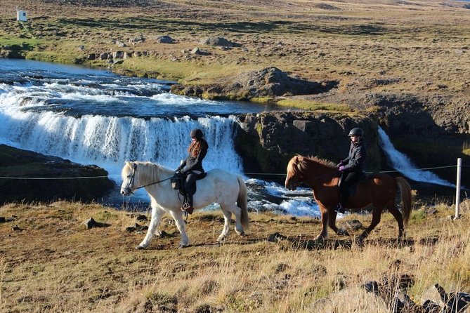 Private 3-Hour Horseback Riding Tour - What the guides add to the day