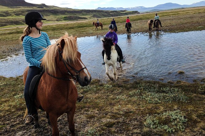 Private 3-Hour Horseback Riding Tour - Waterfalls, hot springs, and a route shaped by ability