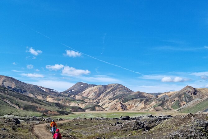 Private Day Trip in Landmannalaugar South Region area on a 4x4 truck - Landmannalaugar: hiking, color, and warm water