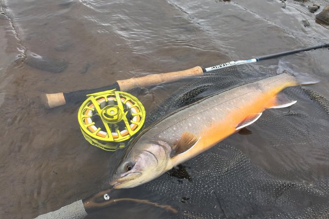 Private Fishing Tour from Reykjavik - Arctic Char and Brown Trout - Arctic char, brown trout, and seasonal expectations
