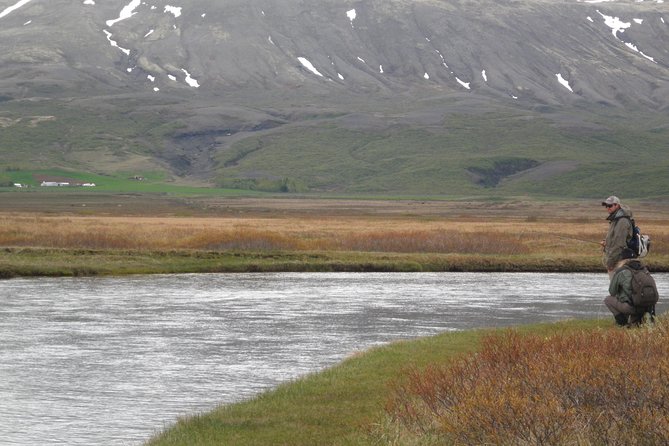 Private Fishing Tour from Reykjavik - Arctic Char and Brown Trout - Who will enjoy this fishing day most?