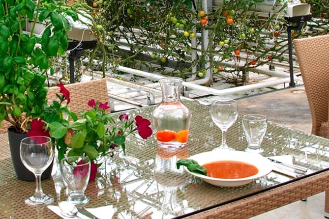 Private Golden Circle, Sky Lagoon and Friðheimar Greenhouse Lunch - Why the private format matters