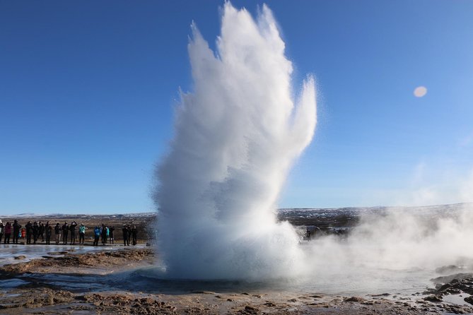Private Golden Circle Tour Iceland | Day Tour - Fridheimar: a warm greenhouse stop with tomato on the menu