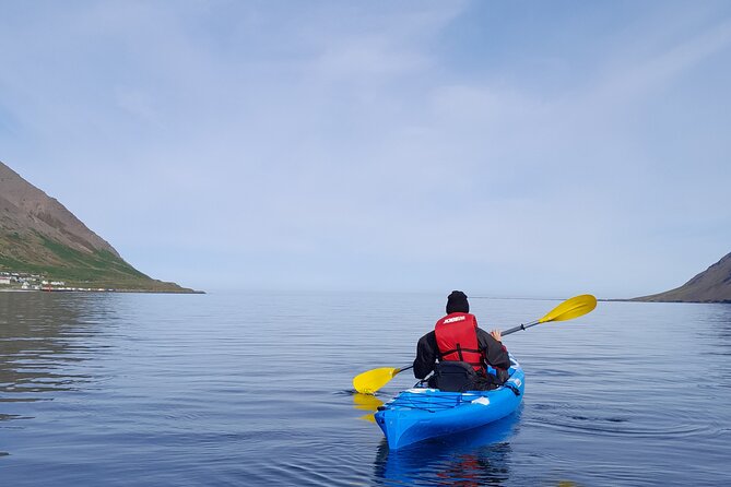 Private: Guided kayak tour in Siglufjörður / Siglufjordur. - Paddling into Siglufjörður’s harbor story