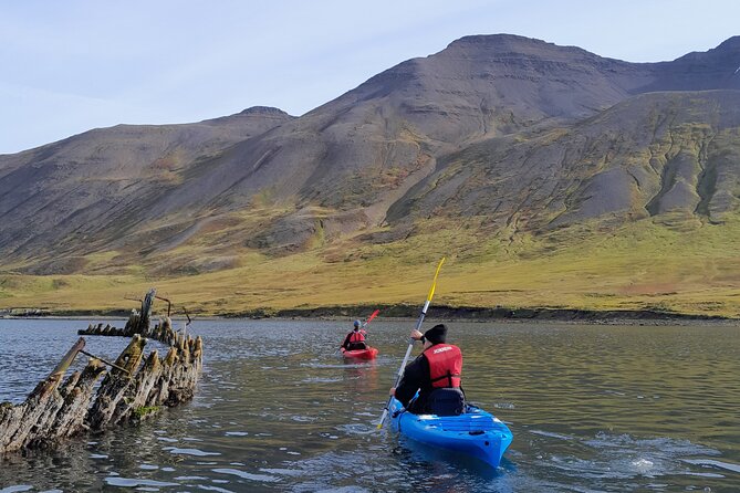 Private: Guided kayak tour in Siglufjörður / Siglufjordur. - The meeting point matters more than the Akureyri label