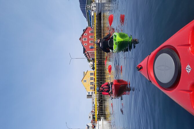 Private: Guided kayak tour in Siglufjörður / Siglufjordur. - Tom, Laken, and the value of a good guide