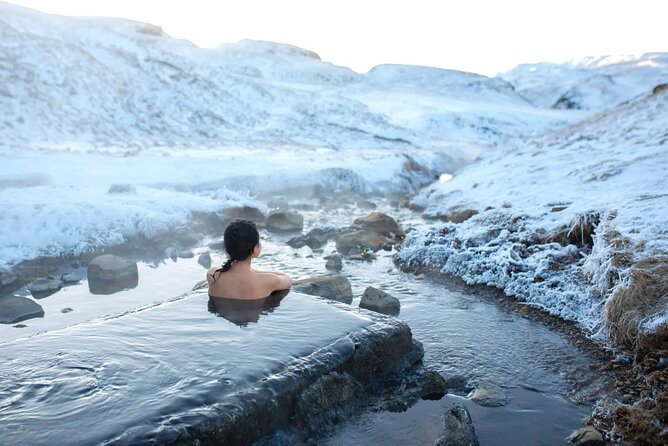 Private Half Day Iceland Tour with Guide and Vehicle - What the guide adds to the day