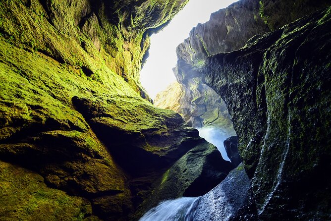 Private Half Day Iceland Tour with Guide and Vehicle - Who should book this private Iceland tour?