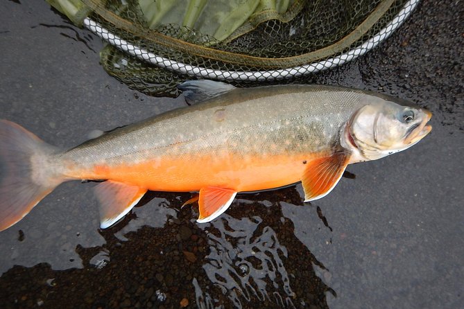 Private Lake and River Fishing Tour from Reykjavik - Practical details before you reserve