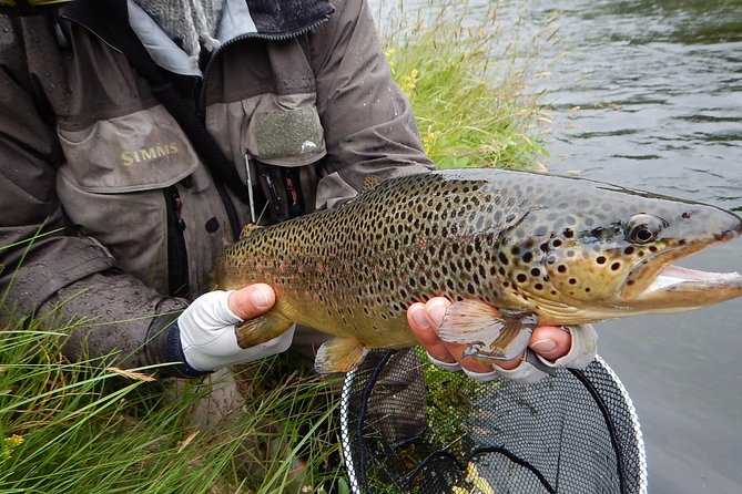 Private Lake and River Fishing Tour from Reykjavik - Should you book the Reykjavik fishing tour?