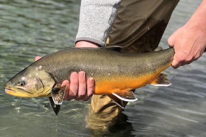 Private Lake and River Fishing Tour from Reykjavik - Arctic char and brown trout in the same outing
