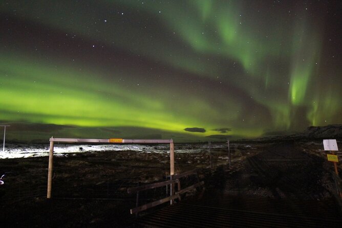 Private Northern Lights Tour - Guides matter more than the schedule