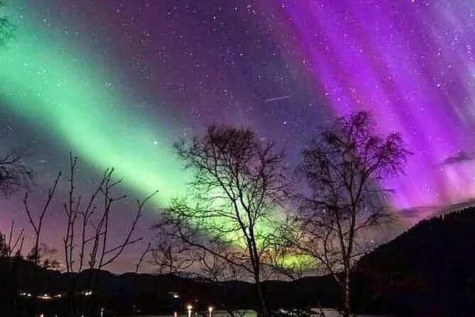 Private Northern Lights Tour From Reykjavik - What you can expect inside the vehicle