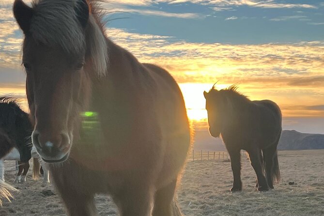Private Reykjanes Peninsula Guided Tour - Why Reykjanes makes a strong half-day outing