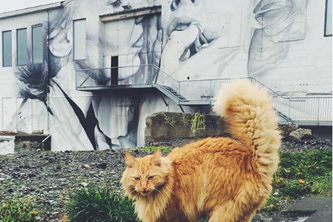 Private Reykjavik Cat Walking Tour - The warm heart of the tour at Kattakaffihúsið