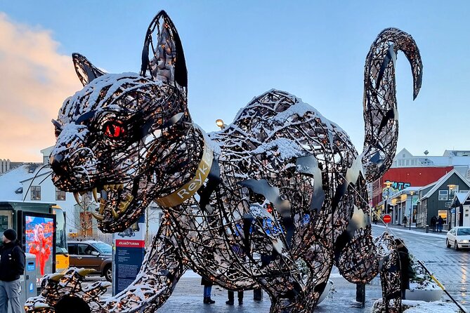 Private Reykjavik Cat Walking Tour - Timing, walking, and practical details