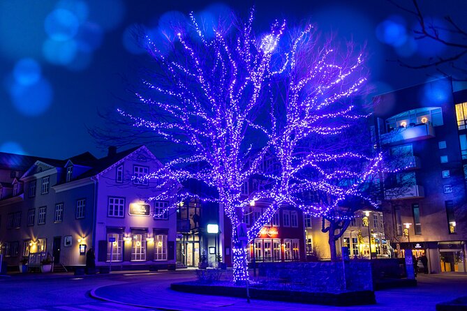 Private Reykjavik Christmas Walking Tour - Austurvöllur Square and Reykjavik’s Christmas tree
