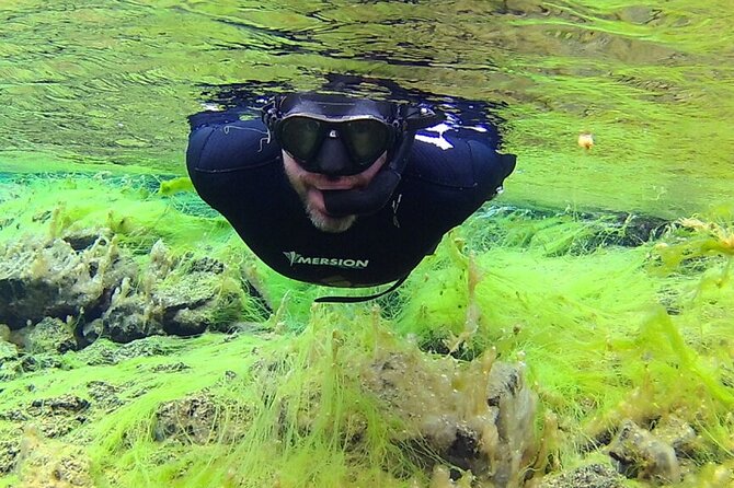 Private Silfra Snorkel Tour - Key points to know before you book