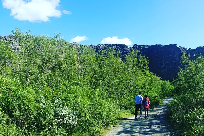 Private Tour in Northern Iceland from Akureyri - Timing, pickup, and practical comfort