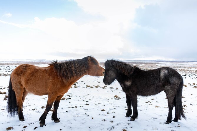 Private Tour Of The Golden Circle With Farm Visits In Iceland - Geysir and Strokkur: watch the ground breathe