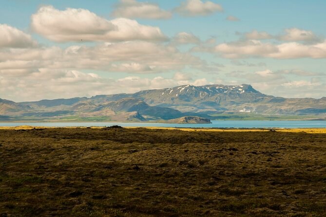 Private Tour Of The Golden Circle With Farm Visits In Iceland - Efstidalur II: ice cream with the cows nearby