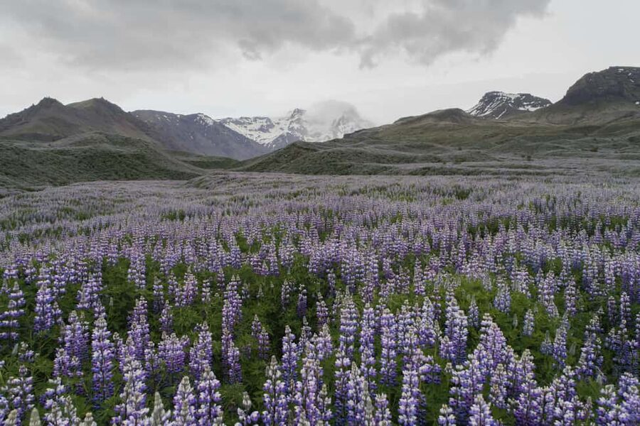 Private Tour to Landmannalaugar. Explore the Highlands - Key points to know