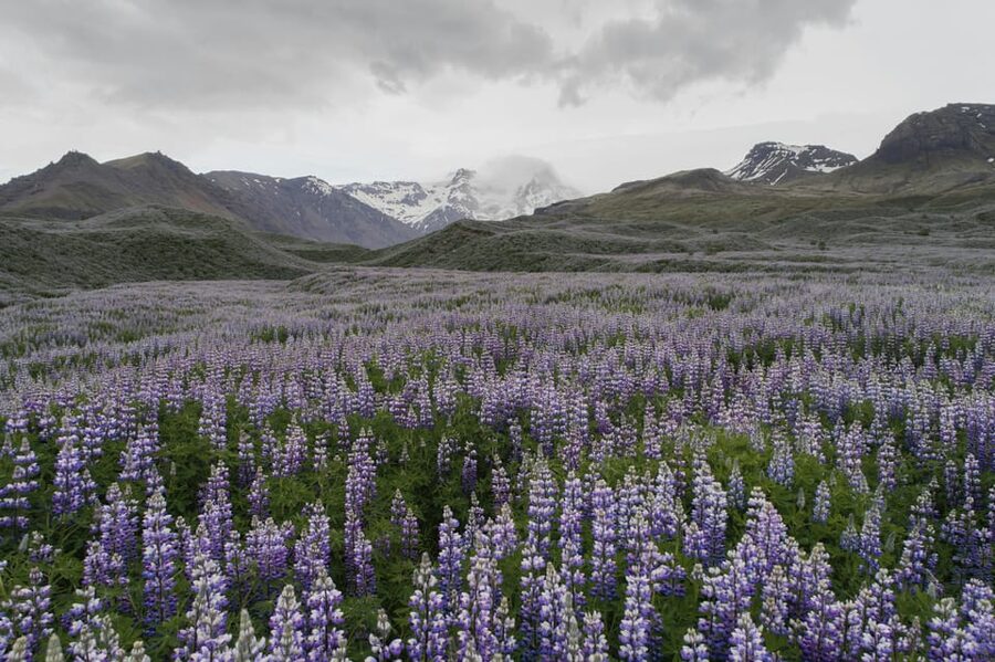 Private Tour to Landmannalaugar. Explore the Highlands - What the private price really buys you