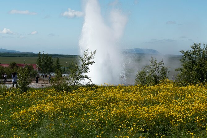 Private Visit Golden Circle Essentials - Is $1,311 a fair price for up to six people?