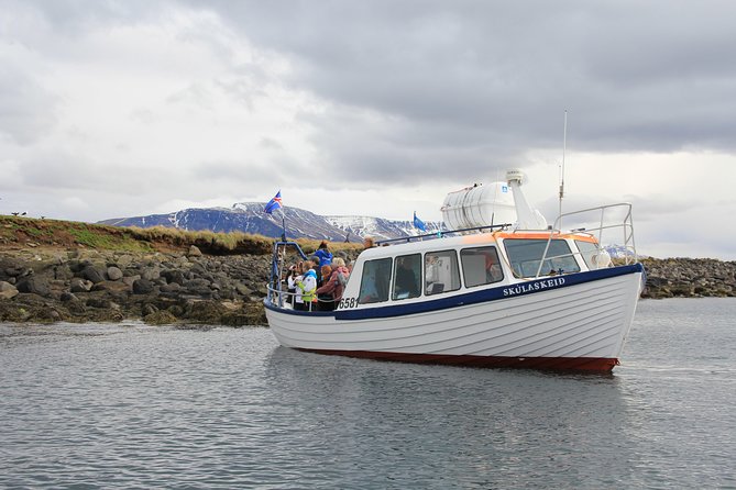 Puffin Cruise with Expert Tour Guide from Reykjavik - Why Akurey matters from May through August