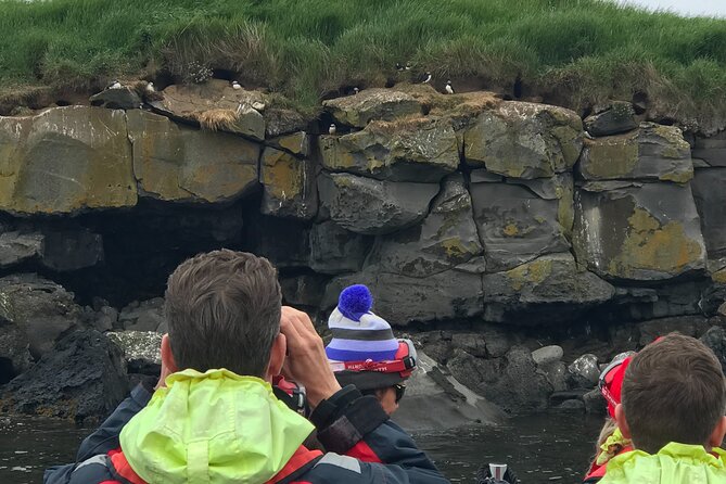 Puffin Watching Speedboat Express - Price, gear, and overall value