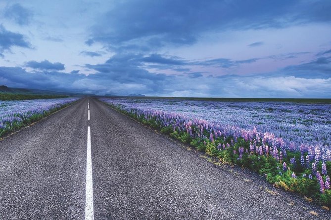 Rent Unlimited High Speed pocket Wifi in Iceland - Who should book this Iceland WiFi rental?