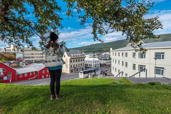 Revel in Reykjavik: Unveiling Iceland’s Charismatic Capital - A short private walk through Reykjavik