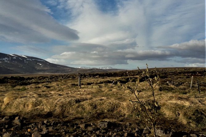 Reykjanes peninsula- Geopark and much more. Private tour - Why Reykjanes deserves its own day