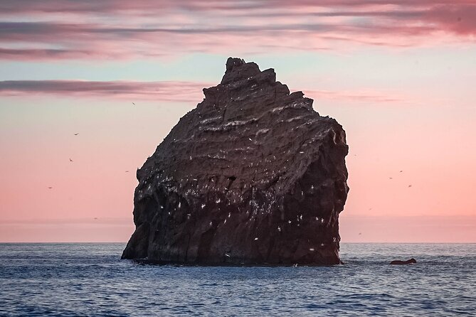 Reykjanes Peninsula Private tour Iceland - The Bridge Between Continents