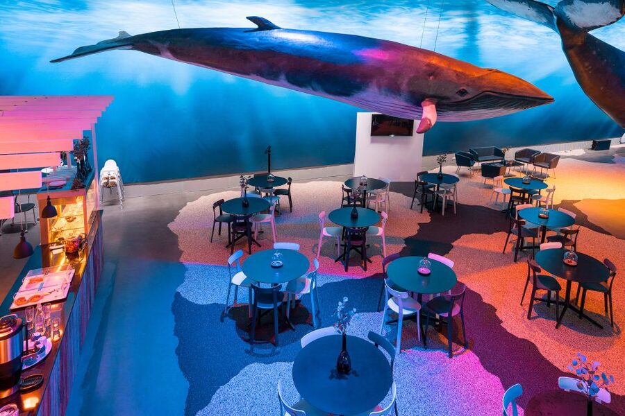 Reykjavik: 2-Hour Northern Lights by Boat with Backup Plan - How to plan your evening
