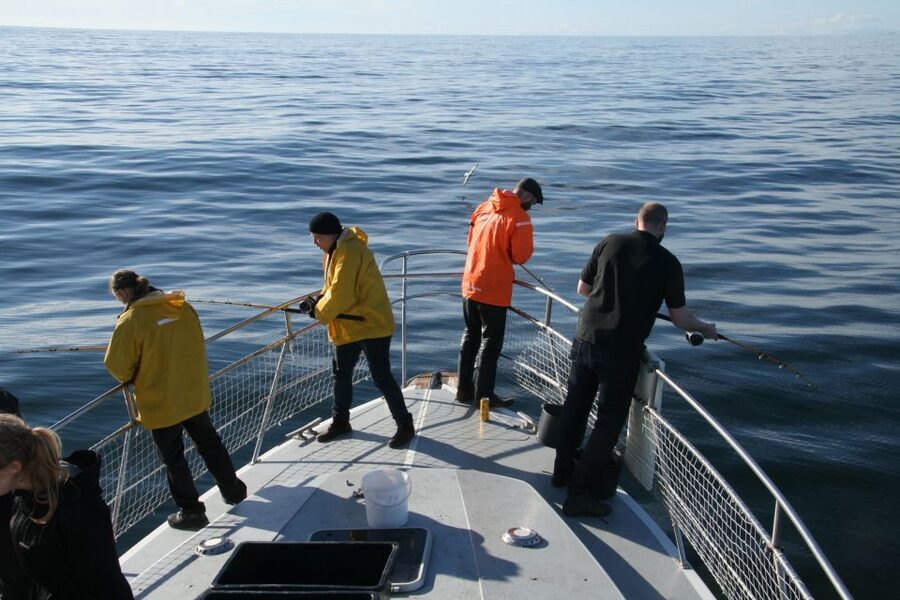 Reykjavik: 3-Hour Sea Angling Gourmet Experience Tour - Fishing for lunch in Faxaflói