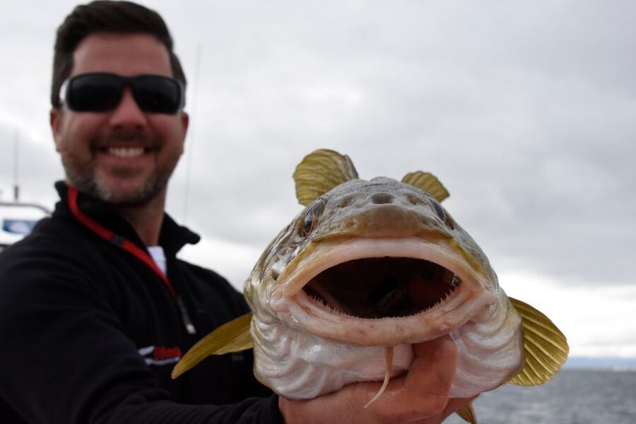 Reykjavik: 3-Hour Sea Angling Gourmet Experience Tour - How crowded will the boat feel?