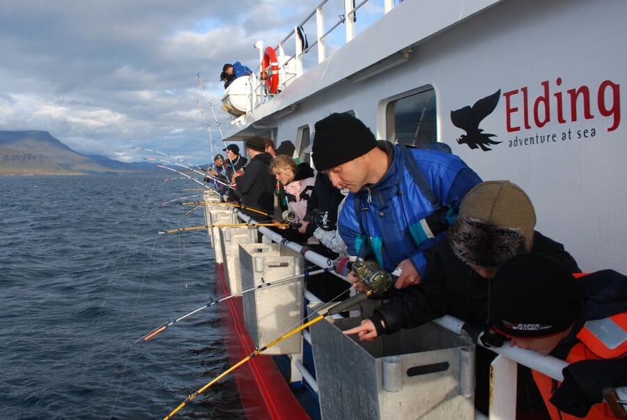 Reykjavik: 3-Hour Sea Angling Gourmet Experience Tour - Value, timing, and cancellation