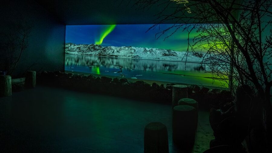 Reykjavik: Aurora Reykjavik The Northern Lights Center Entry - Starting with Arctic folklore and Aurora science