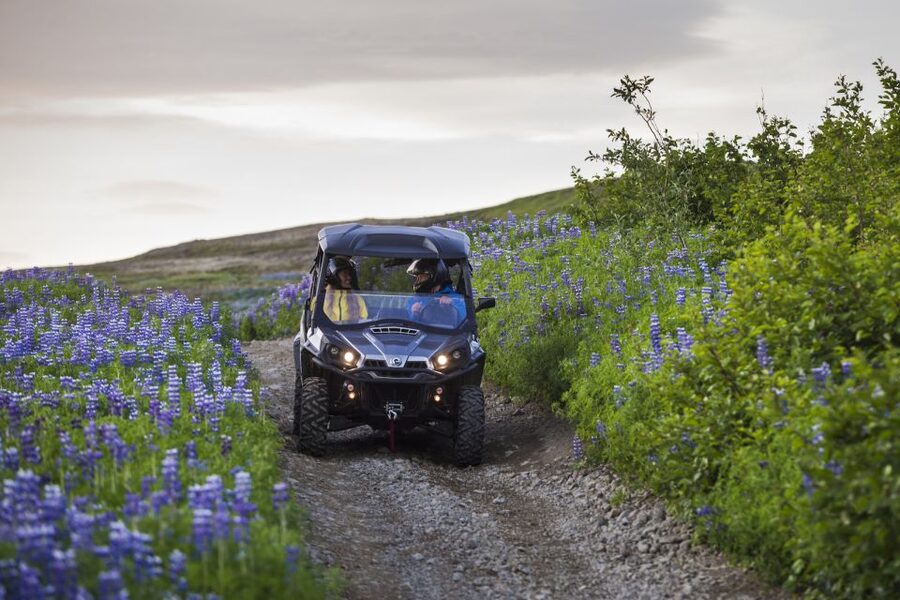 Reykjavik: Buggy Safari Tour with Hotel Transfers - Who will enjoy this most