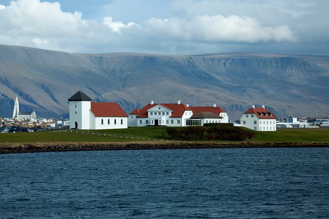 Reykjavik City Private Tour - Hallgrímskirkja and the view from Skólavörðuhæð