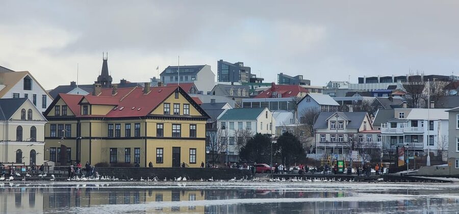 Reykjavik City Private Tour: Perlan, Arbaer & City Landmarks - Hallgrimskirkja and Reykjavik from above