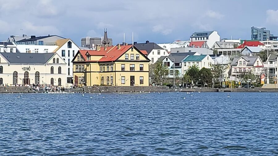 Reykjavik City Private Tour: Perlan, Arbaer & City Landmarks - Who will get the most from this tour