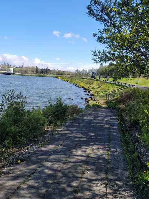 Reykjavik City Private Tour: Perlan, Arbaer & City Landmarks - The good and the less good