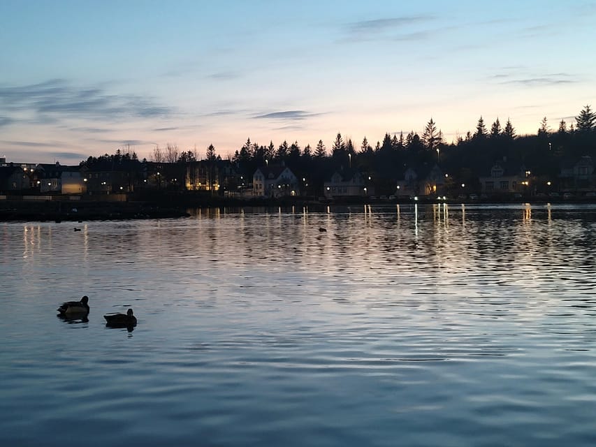 Reykjavik City Private Tour: Perlan, Arbaer & City Landmarks - Should you book this Reykjavik tour?