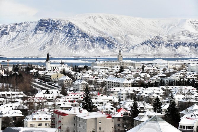 Reykjavik City Walking Tour - Parliament, cathedral, and Reykjavik’s earliest settlement