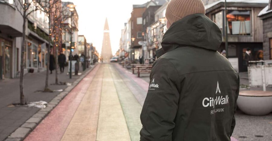 Reykjavik: City Walking tour in Small Group with Local Guide - Key points to know before booking