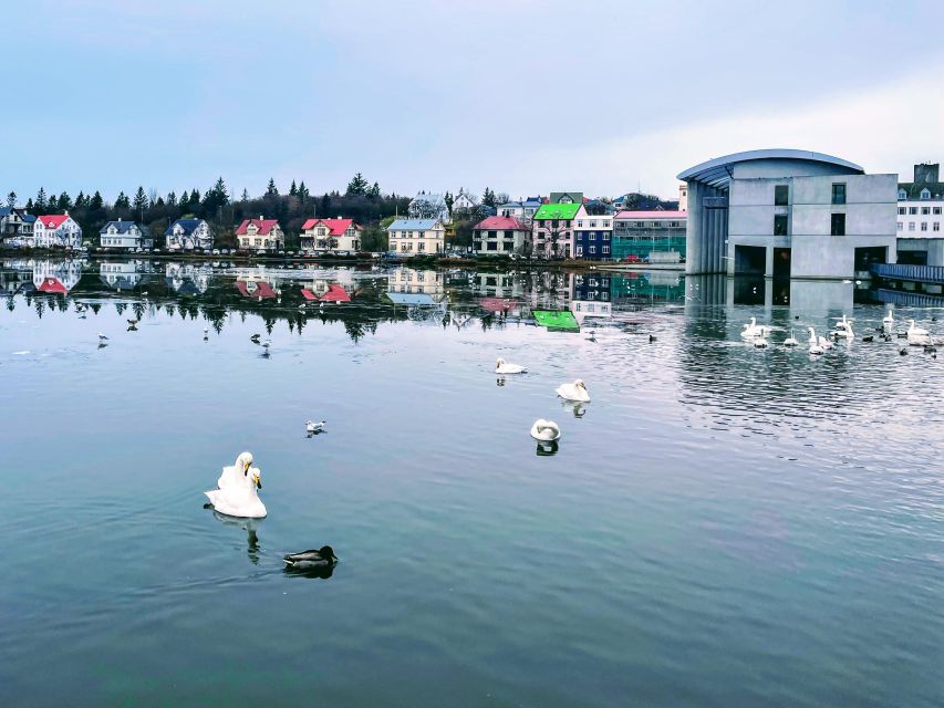 Reykjavik: City Walking tour in Small Group with Local Guide - Tjörnin, birds, and the quieter side of the center