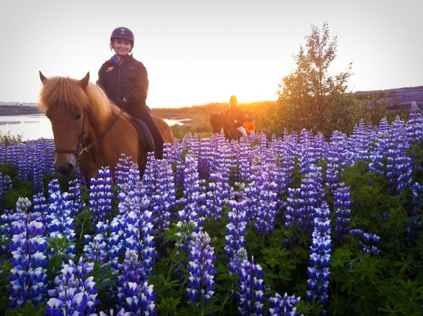 Reykjavik: Evening Sleipnir Horse Riding Tour with Pickup - Key points to know before booking