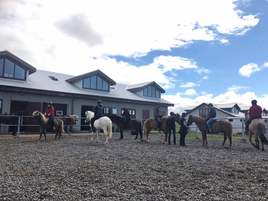 Reykjavik: Evening Sleipnir Horse Riding Tour with Pickup - Coffee, hot chocolate, and kleina at home